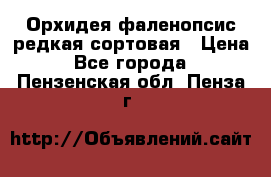 Орхидея фаленопсис редкая сортовая › Цена ­ 800 - Все города  »    . Пензенская обл.,Пенза г.